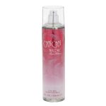 PARIS HILTON CAN CAN BURLESQUE   Spray Splash